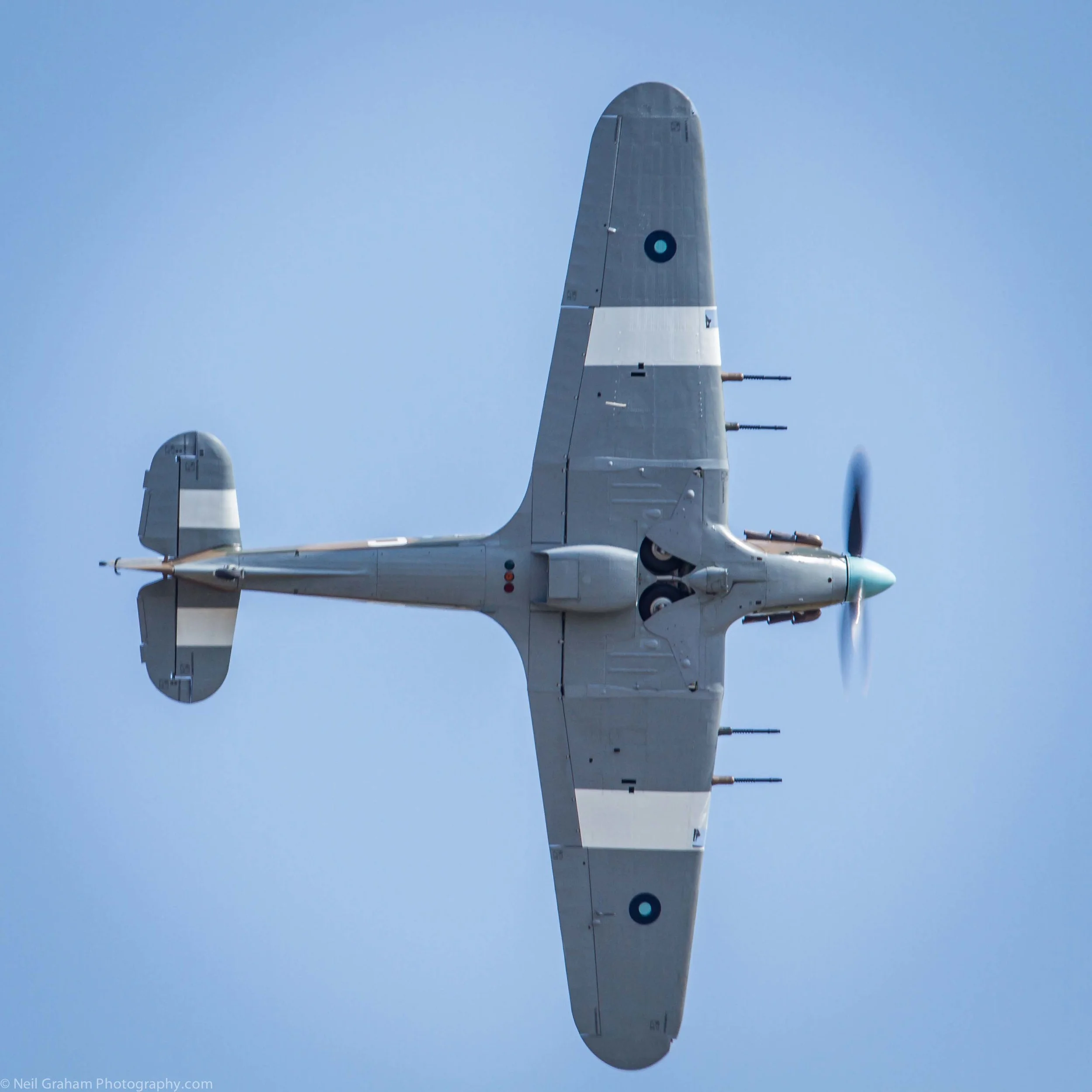 www.neilgrahamphotography.com  (207 of 257).jpg