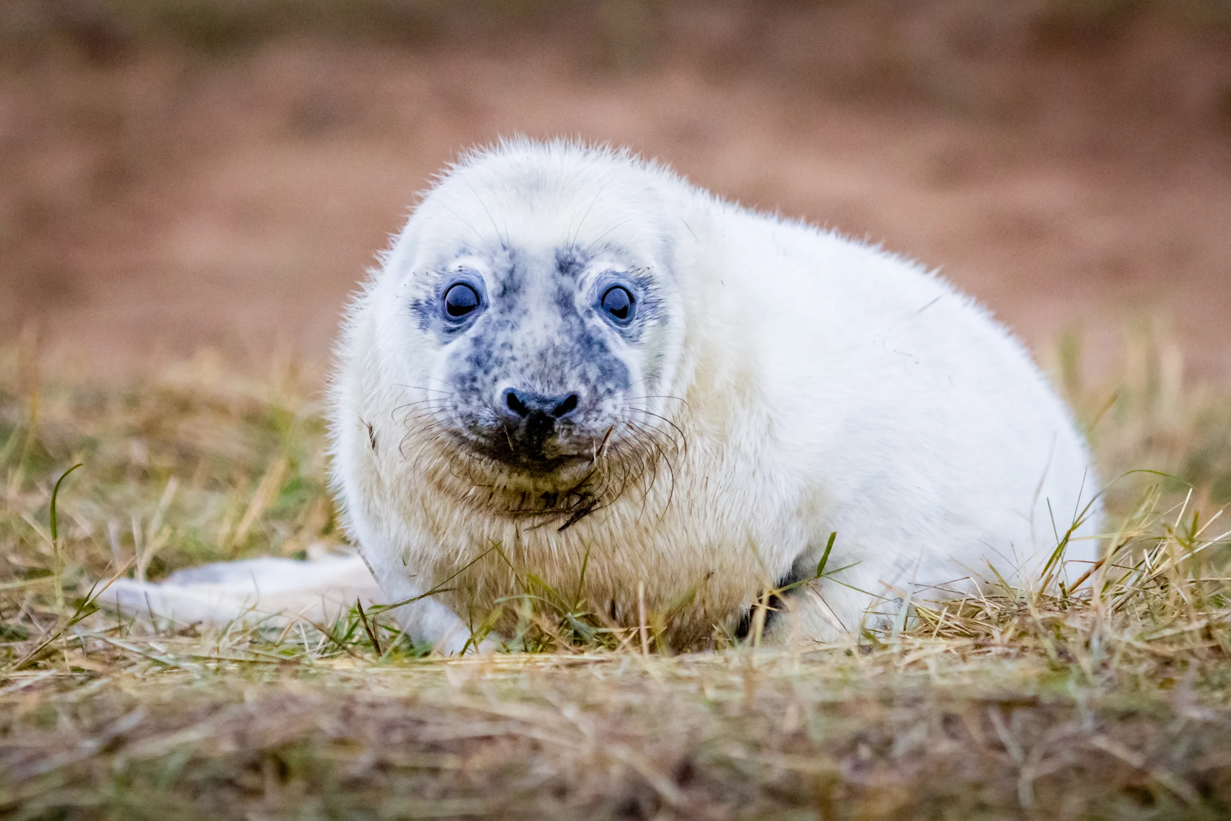 www.neilgrahamphotography.com (53 of 201).jpg