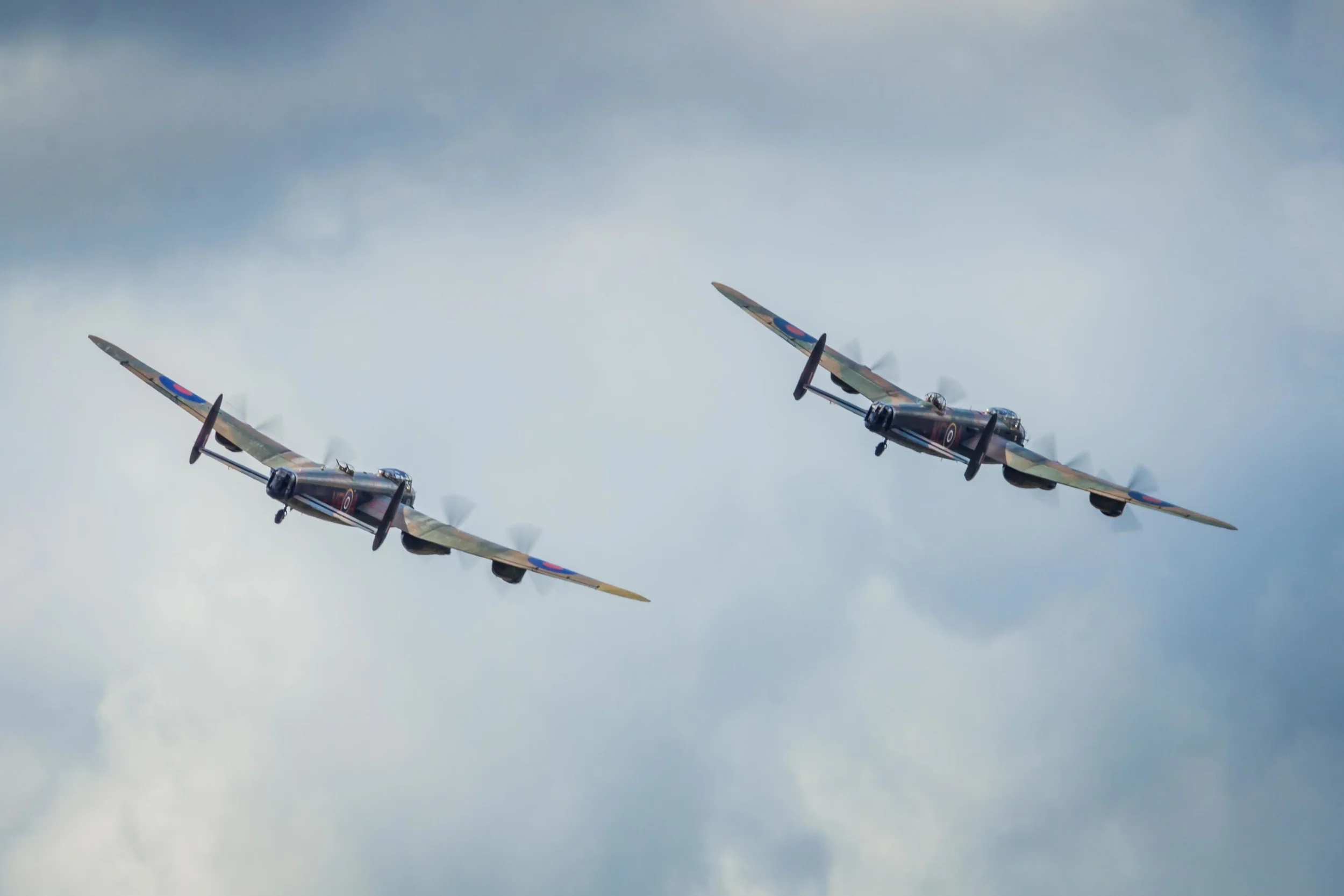 _MG_6061.jpg