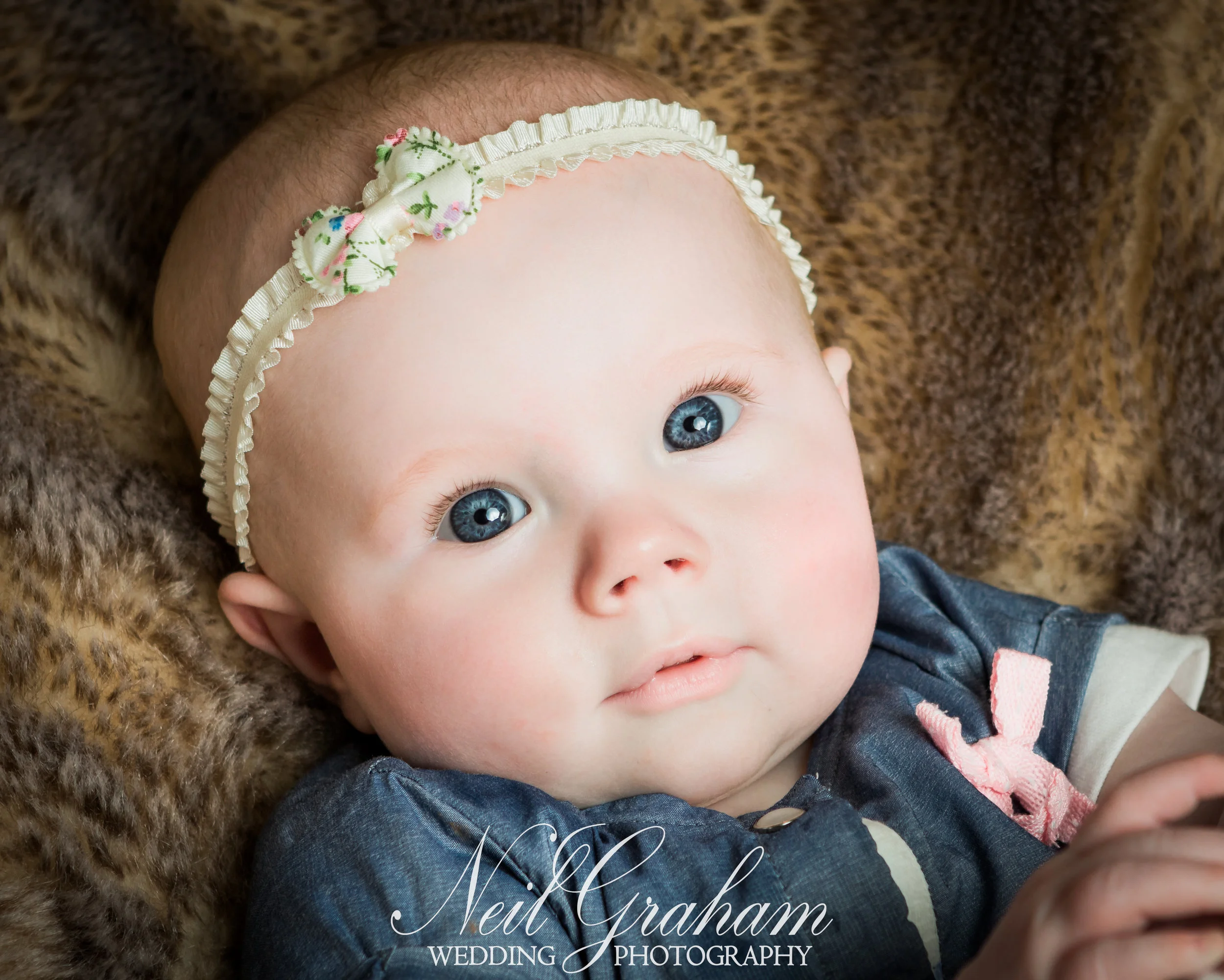 Neil Graham Photography -15.jpg