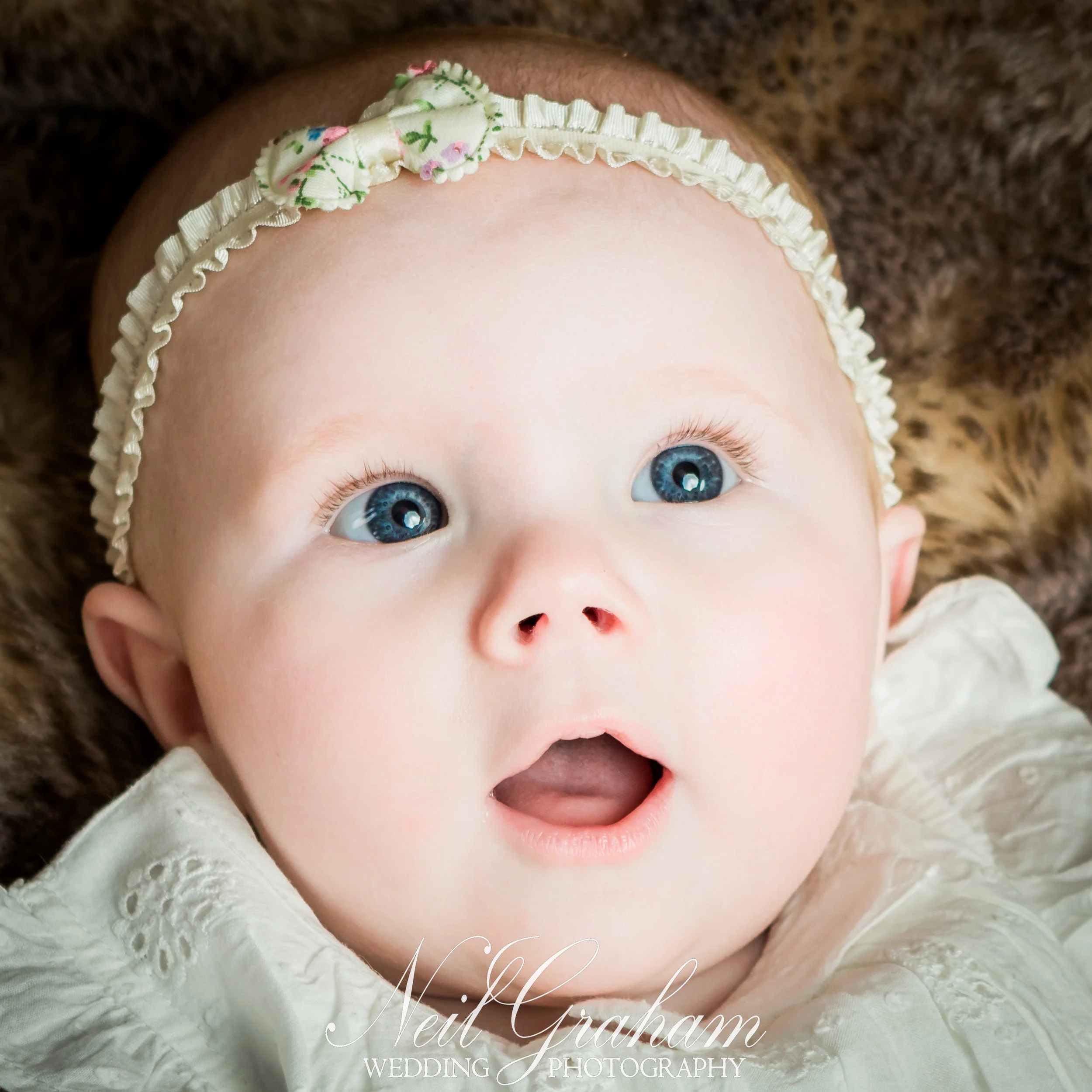 Neil Graham Photography -20.jpg