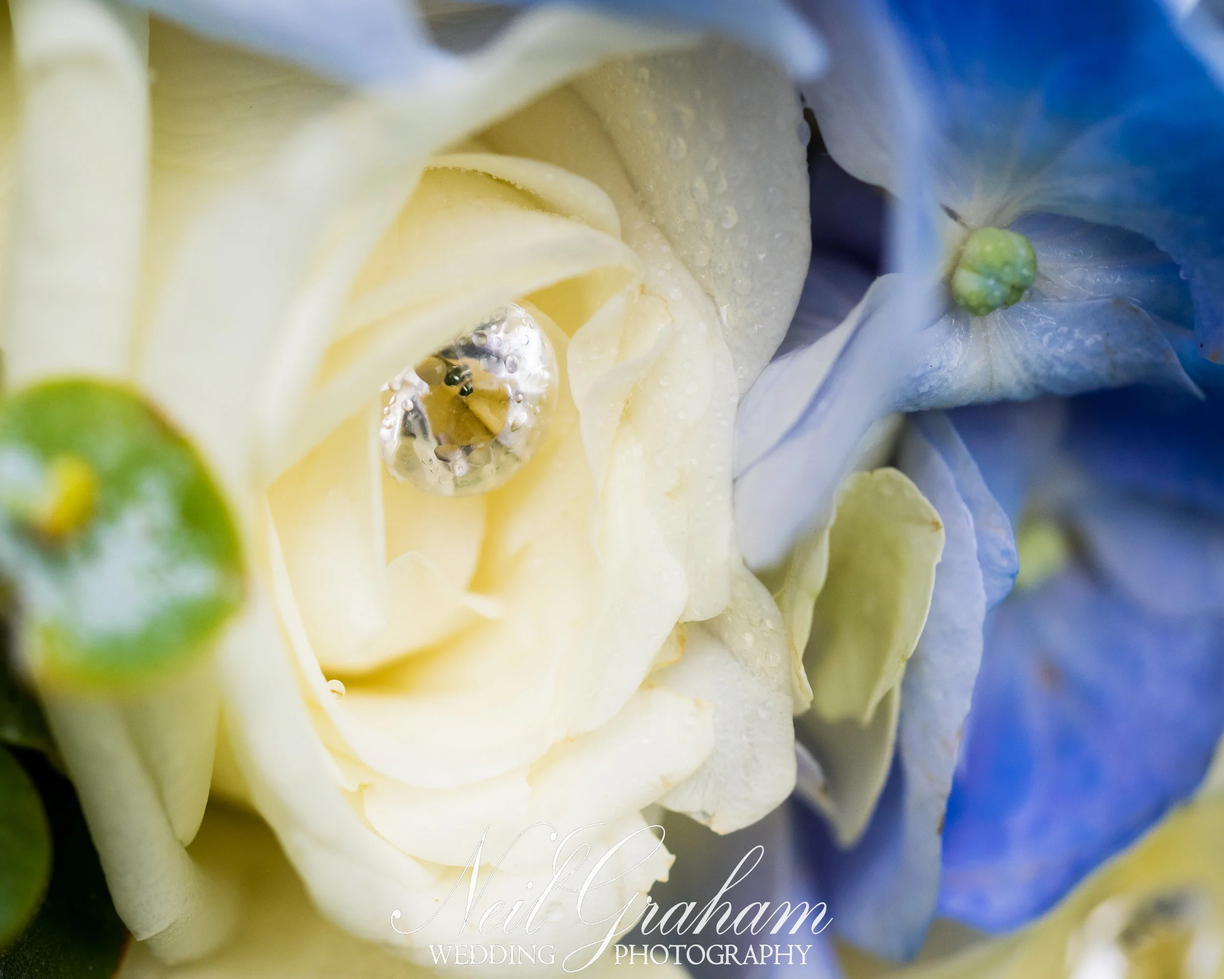 Neil Graham Photography -37.jpg