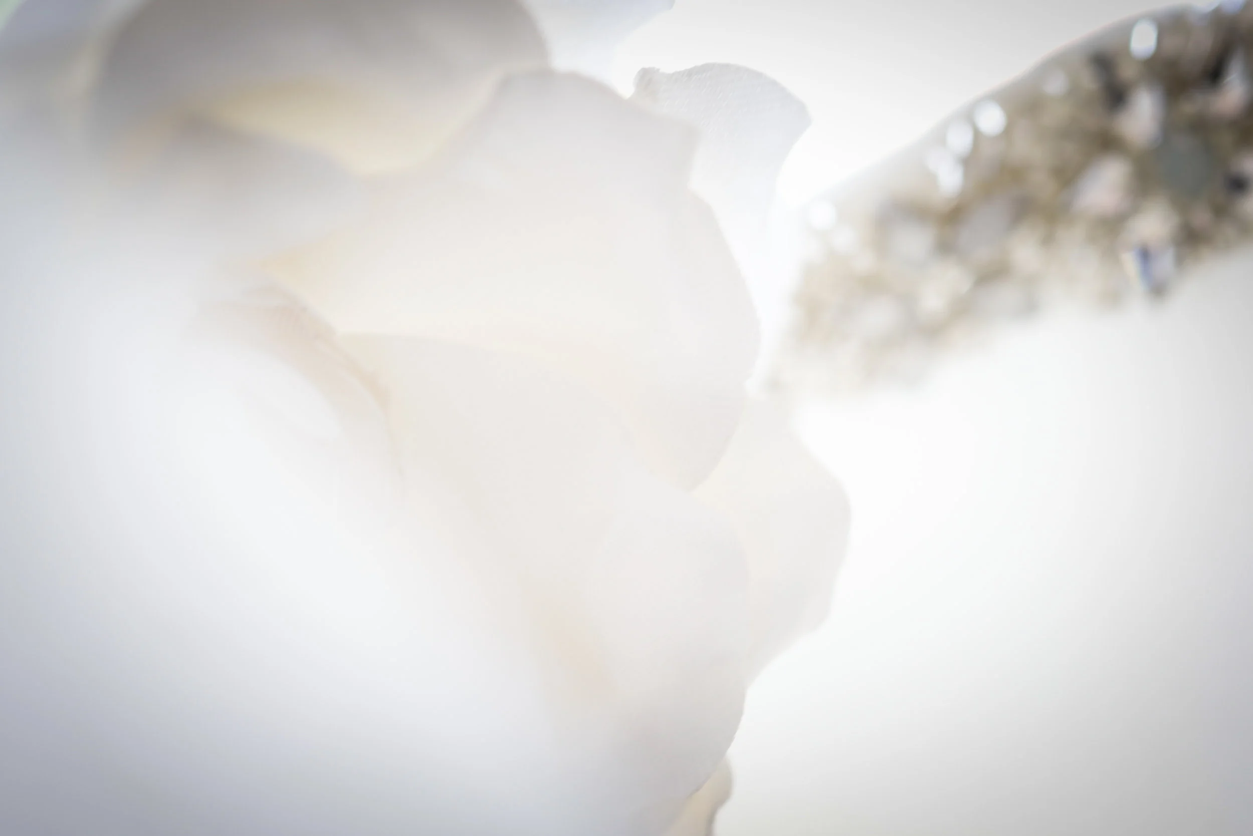 Neil Graham Wedding Photography.com-178.jpg