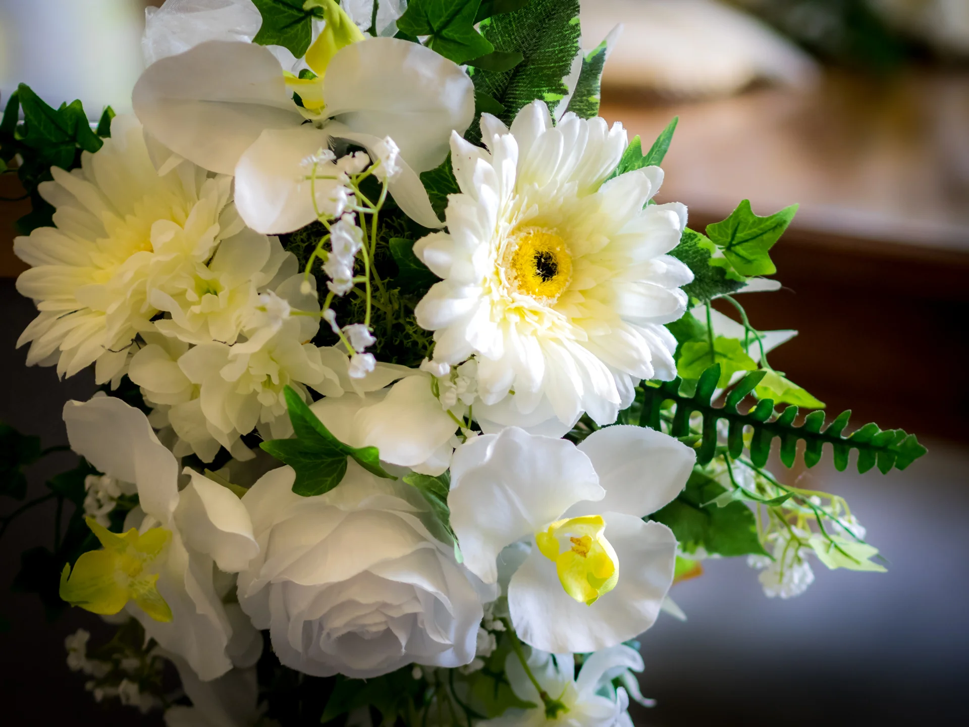Neil Graham Photography _17.jpg