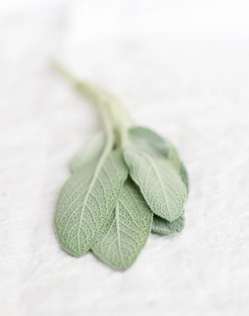 freshsage.jpg