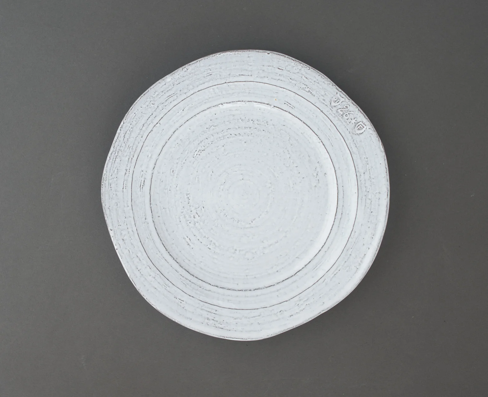 FoodPhotographyProps_NicoleMcQuade_medrusticwhiteplate.jpg