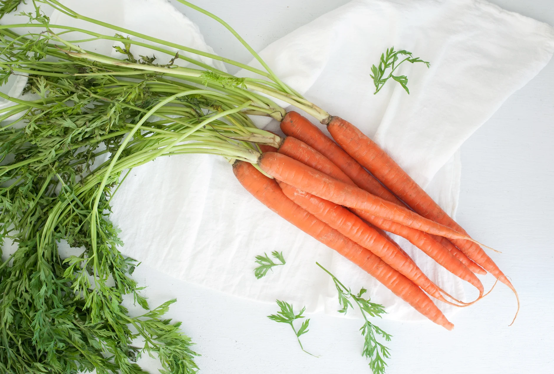 carrots_food_photography_1.jpg