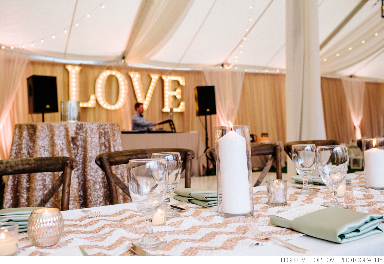 High Five For Love - Bayley's Favorites - 057.jpg