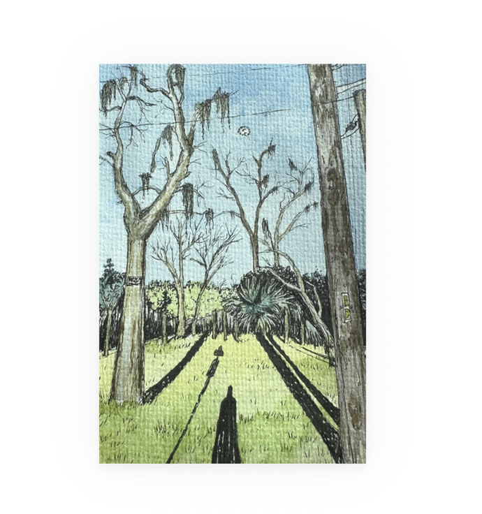 Screen Shot 2024-06-20 at 10.14.26 AM.png