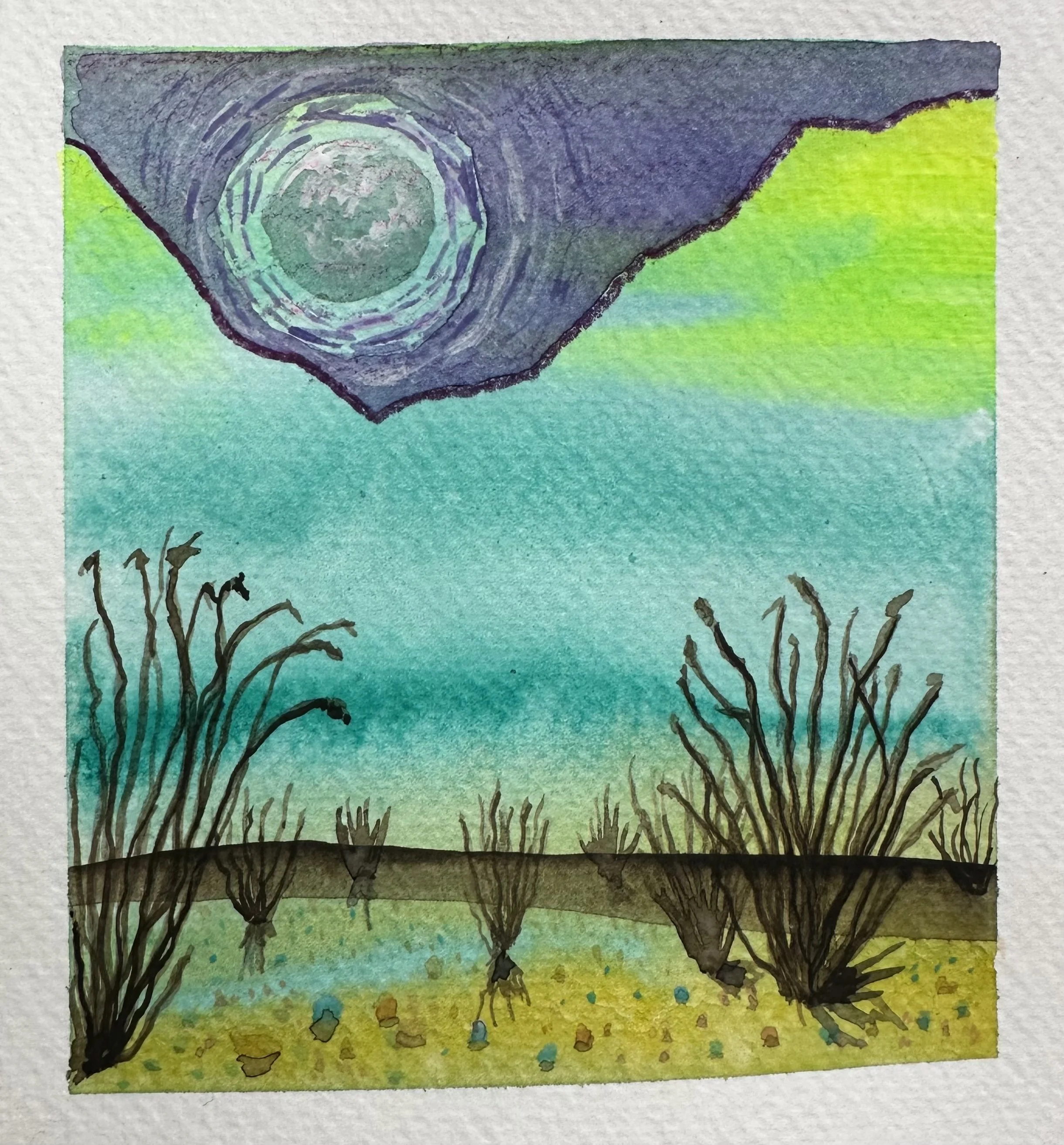 MoonlitOcotillo2.jpg