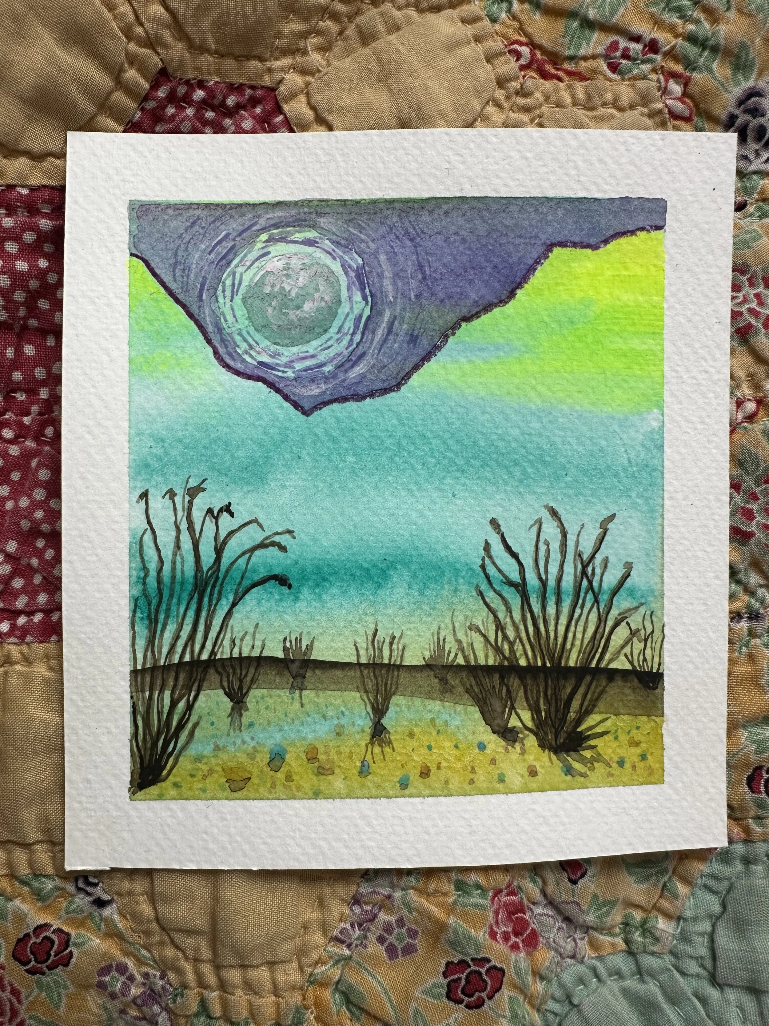 MoonlitOcotillo.jpg