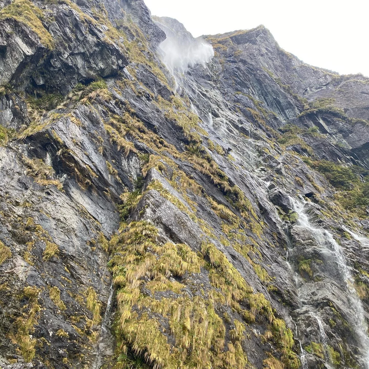 Look up. Earland falls