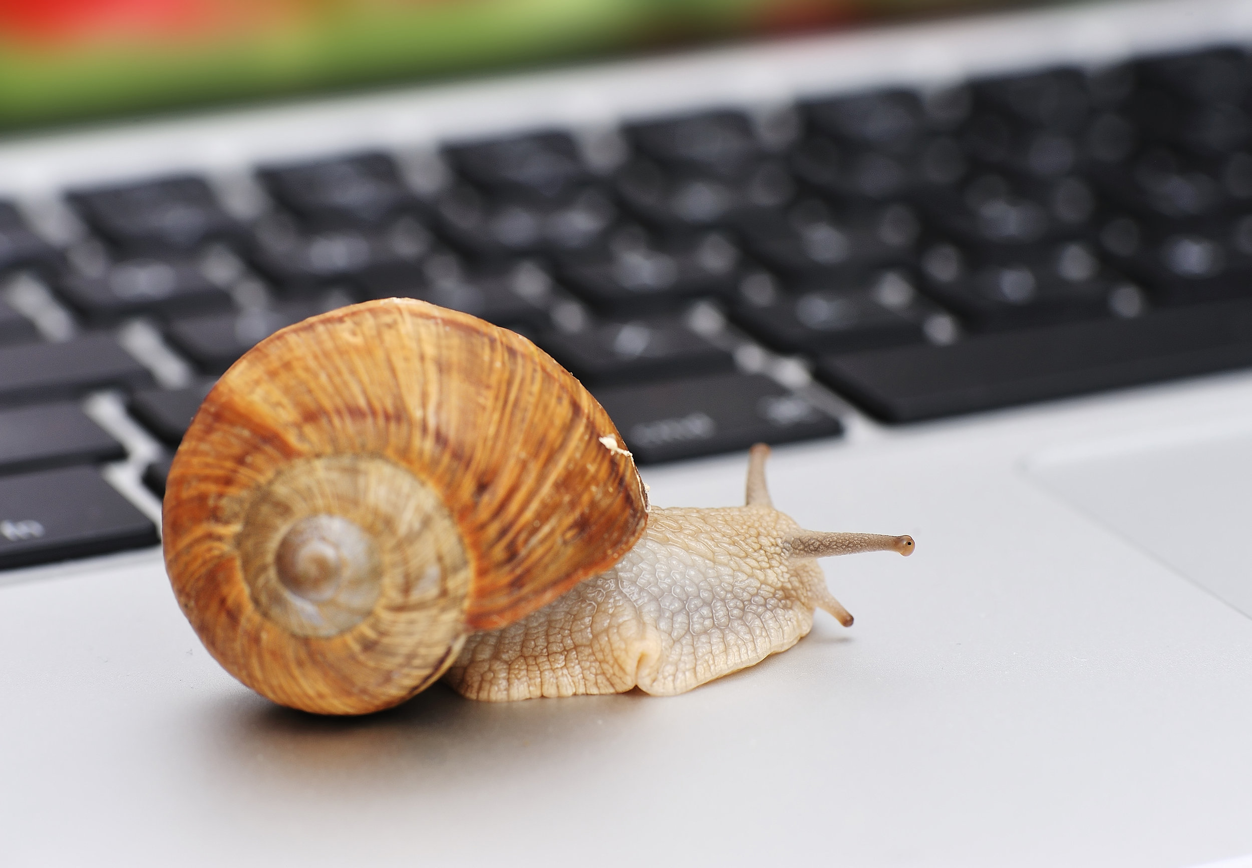 Tips for Speeding Up a Sluggish Computer That's Trashing Your Productivity