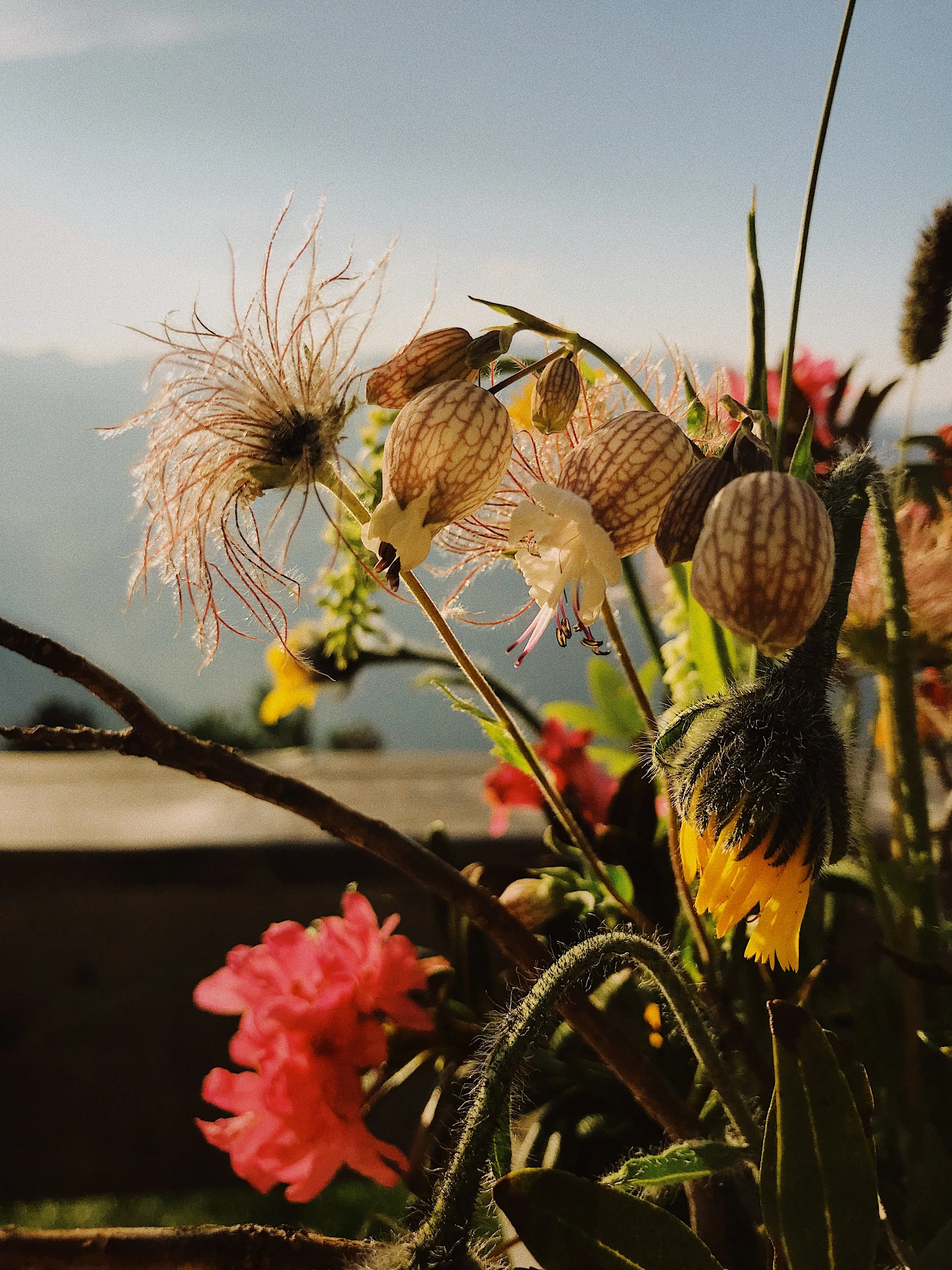 BB47E180-51EF-4CB7-8C1E-01686906BEE1 2.JPG