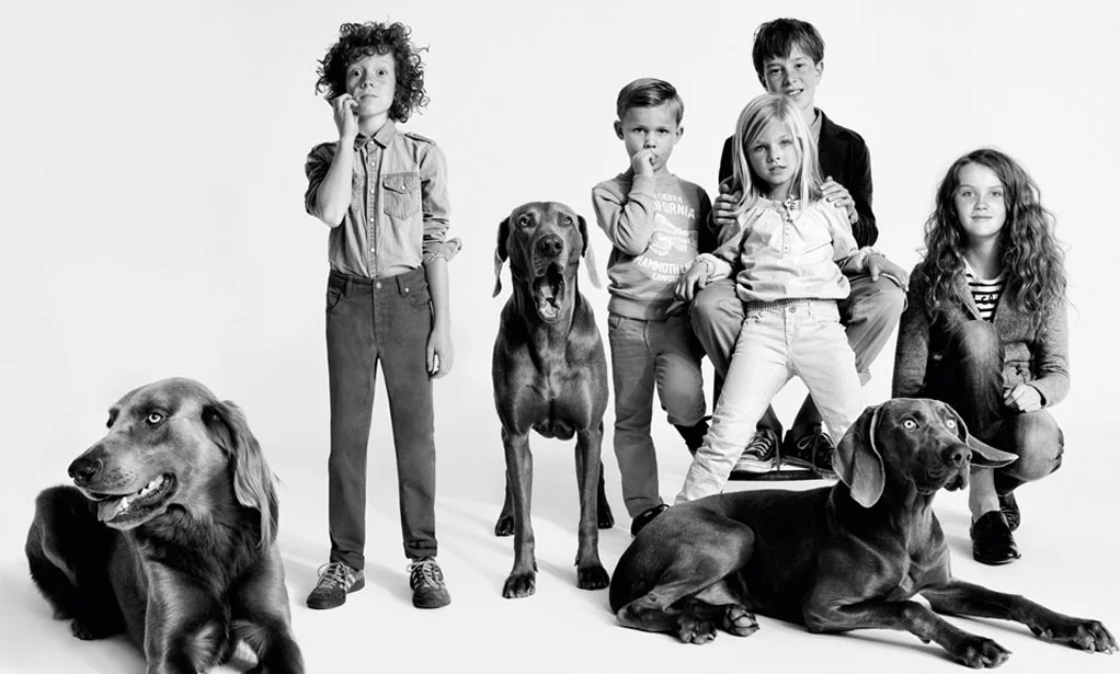 Philippe Vogelenzang