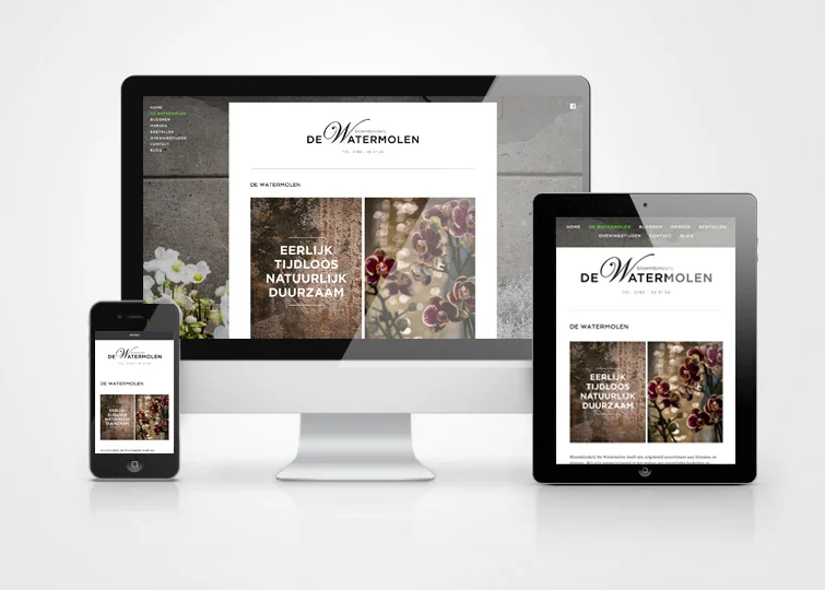 basis_responsive_design_watermolen.jpg