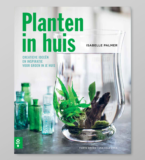 planten_in_huis_2.jpg