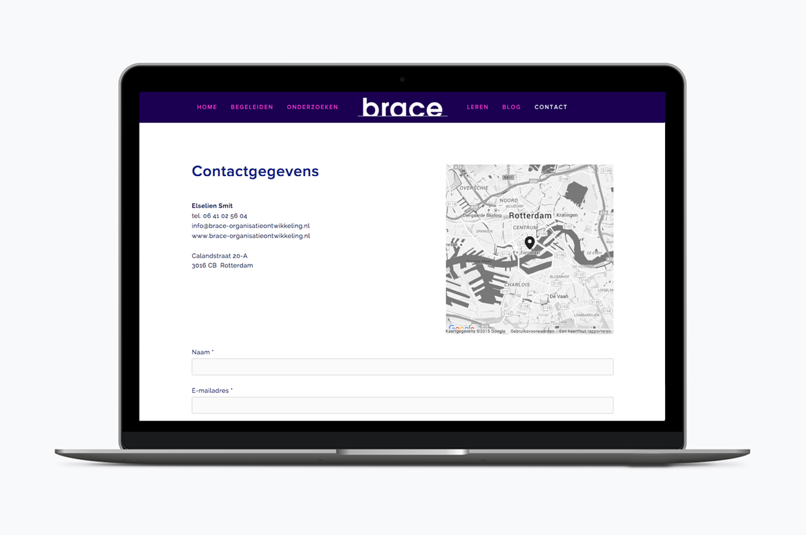 brace_website5.png