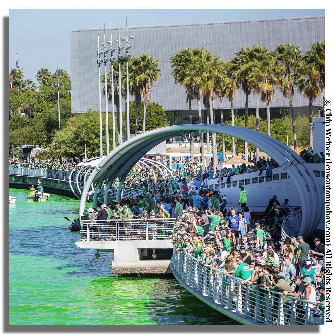 Thousands of people lined the Tampa Riverwalk to watch the transformation of the Hillsborough River from its usual brown to bright green.