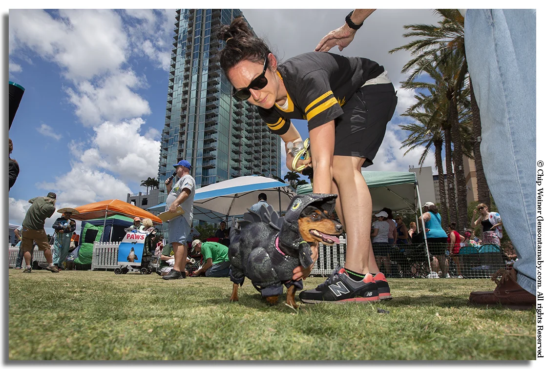 Dash and her mother Heather, both from Ohio, won second place in the Wiener Dog Costume Contest