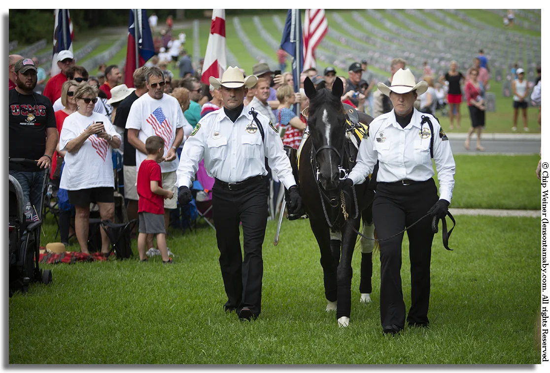 A riderless horse symbolizing fallen soldiers is presented by the Pasco Mounted Posse