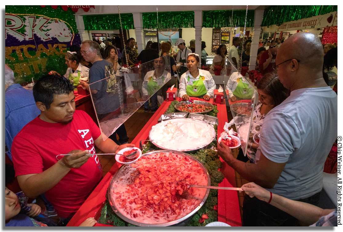 In the strawberry shortcake construction line at the St Clement Catholic Church booth, hungry eaters select the base of shortcake or biscuit and then proceed to build their own. Attendants at the end of the line (in green) place a final “capper” berry on the top and it’s time to eat!