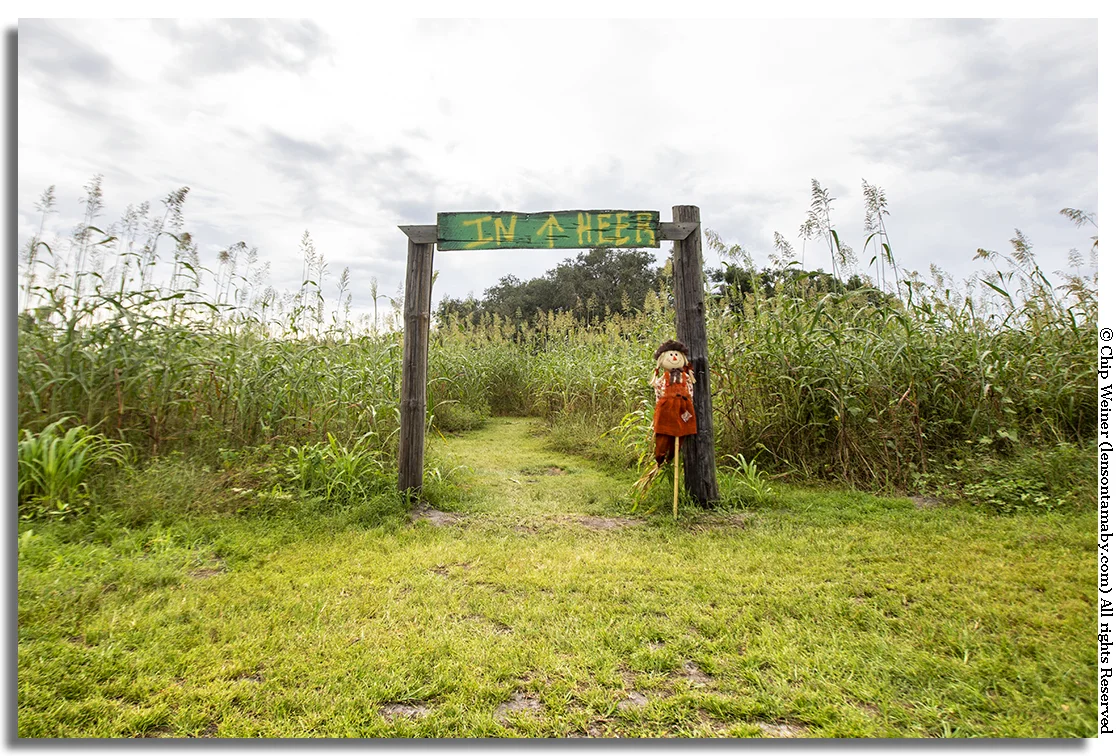Here's where the Fox Squirrel Corn Maze at the Single R ranch starts. It's waiting for you. Put down the phone, pack your camera and the kids, and take a break in the country. Eat some food, play some games, and relax! Set a spell. You need it! You deserve it! Celebrate the fall season….