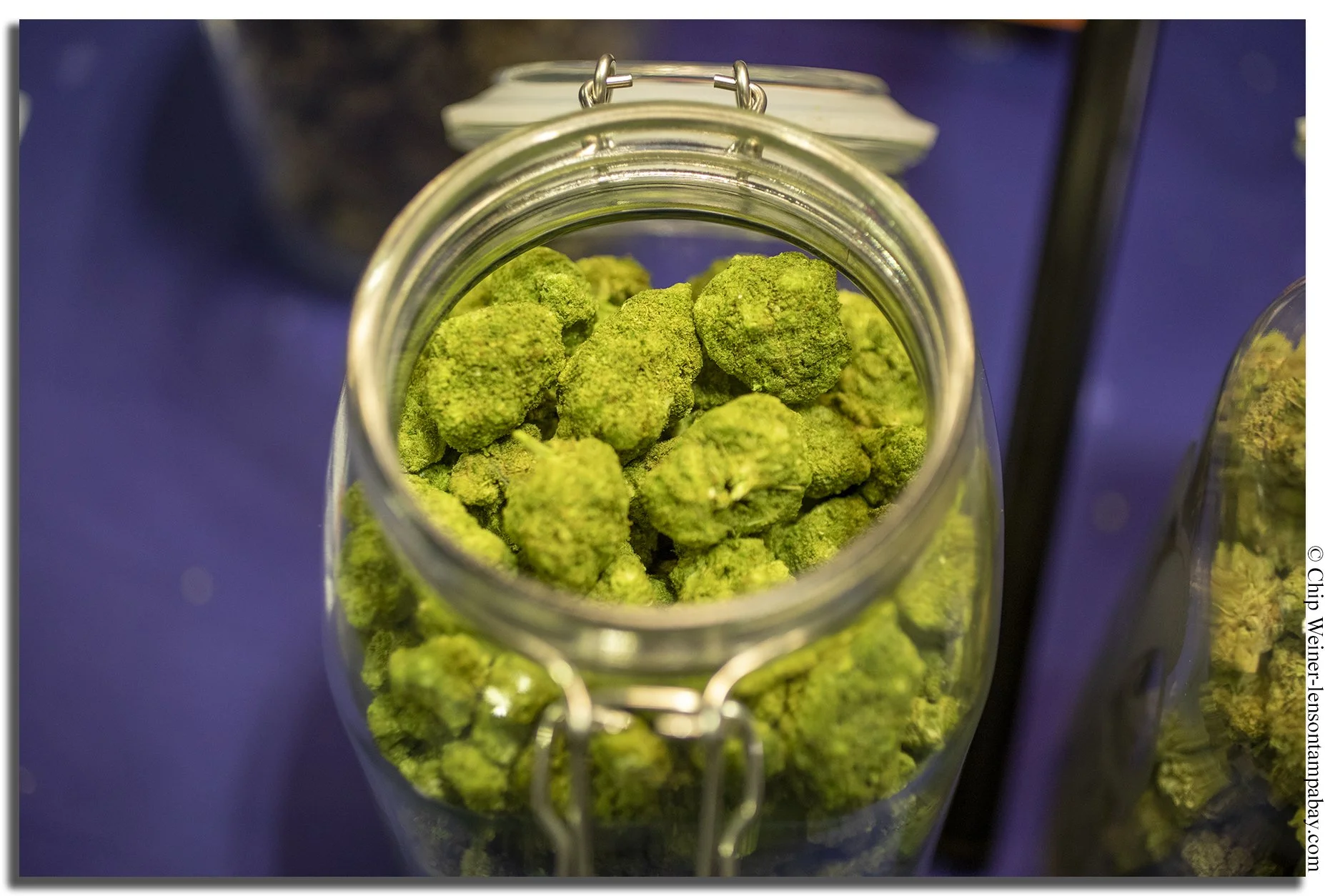 Amita hydroponically grown hemp  sells for $900 a pound 