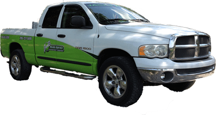 Dodge-2.png
