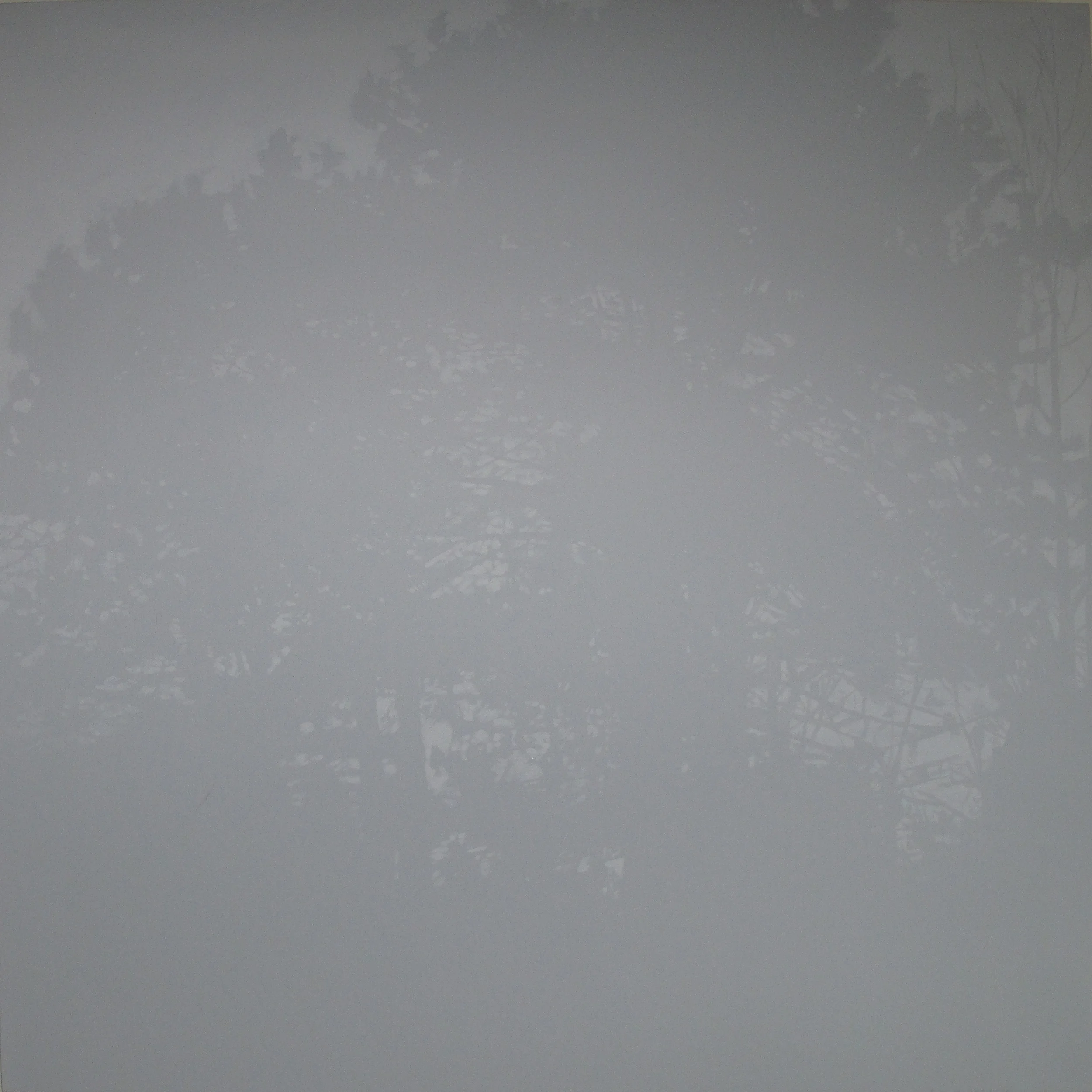 DayForNightHighPark 17.JPG