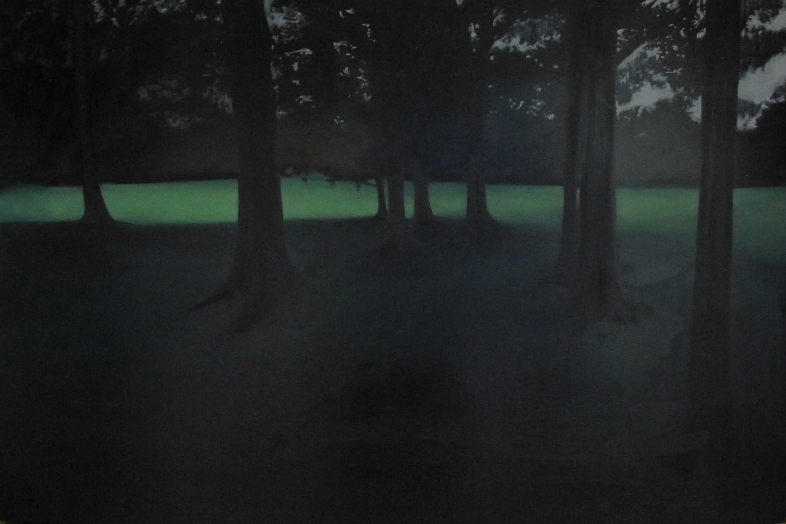 ​Day for Night Central Park, 2010, 48"x72", oil on panel