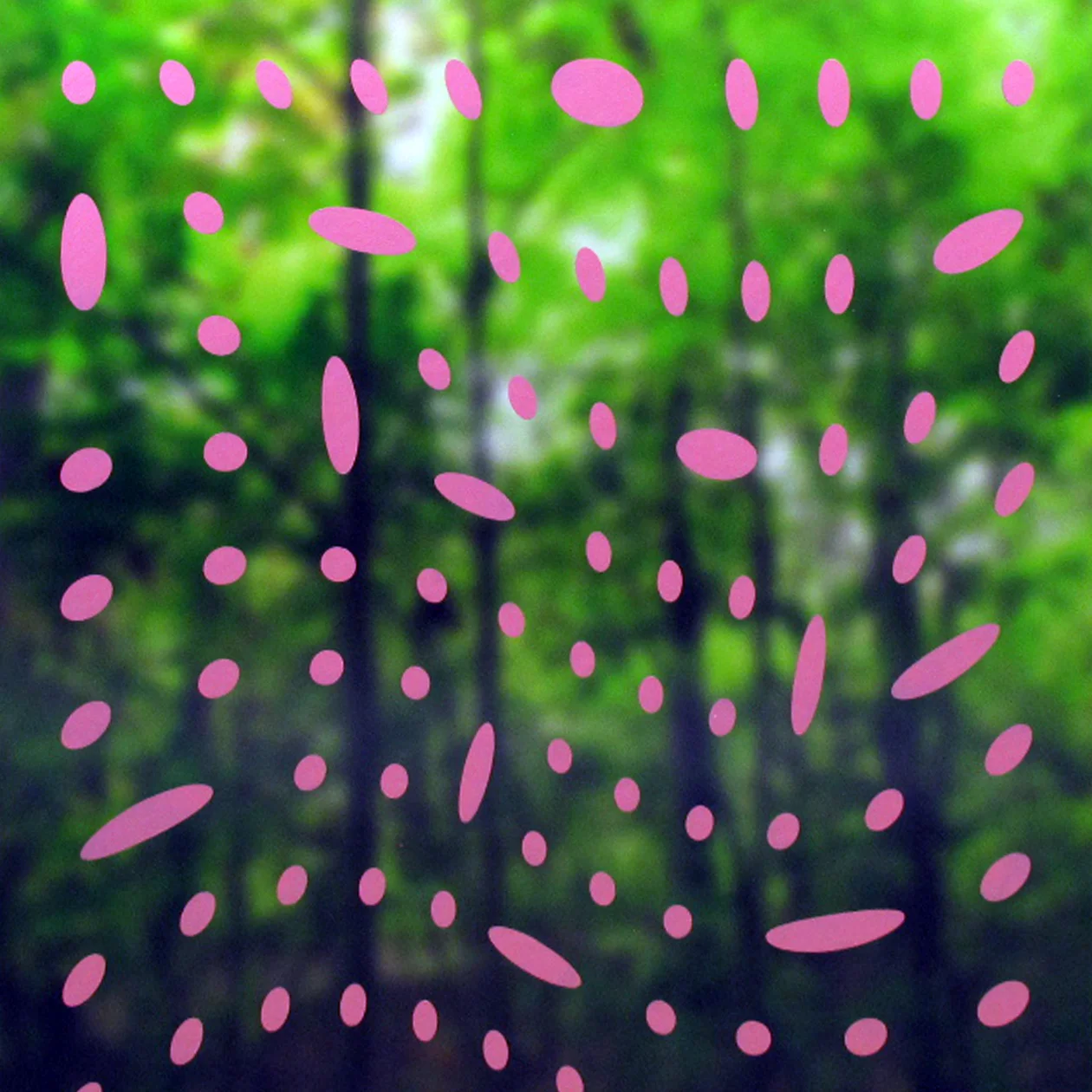 forest_dots_scatter.jpg
