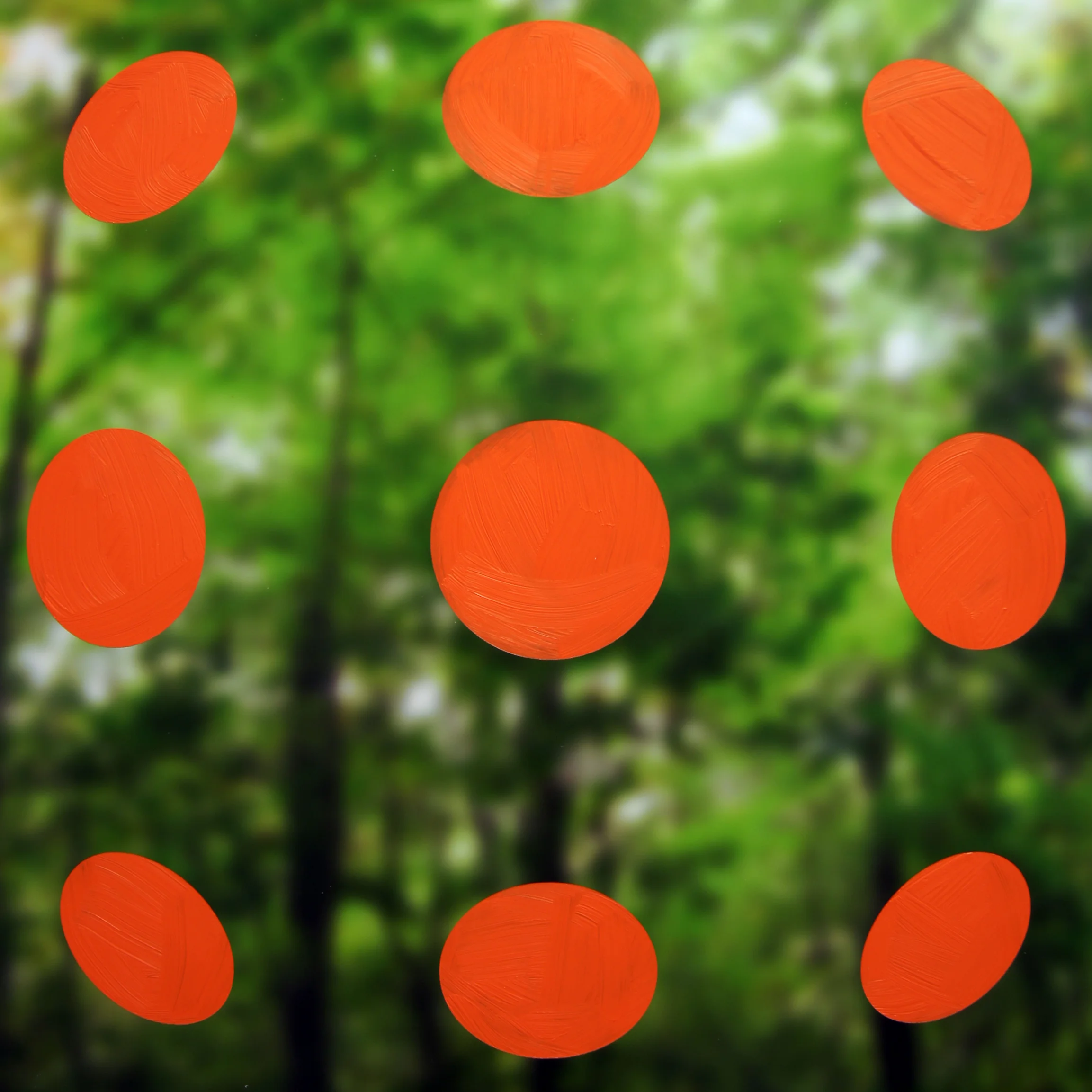 forest_dot_bulge.jpg