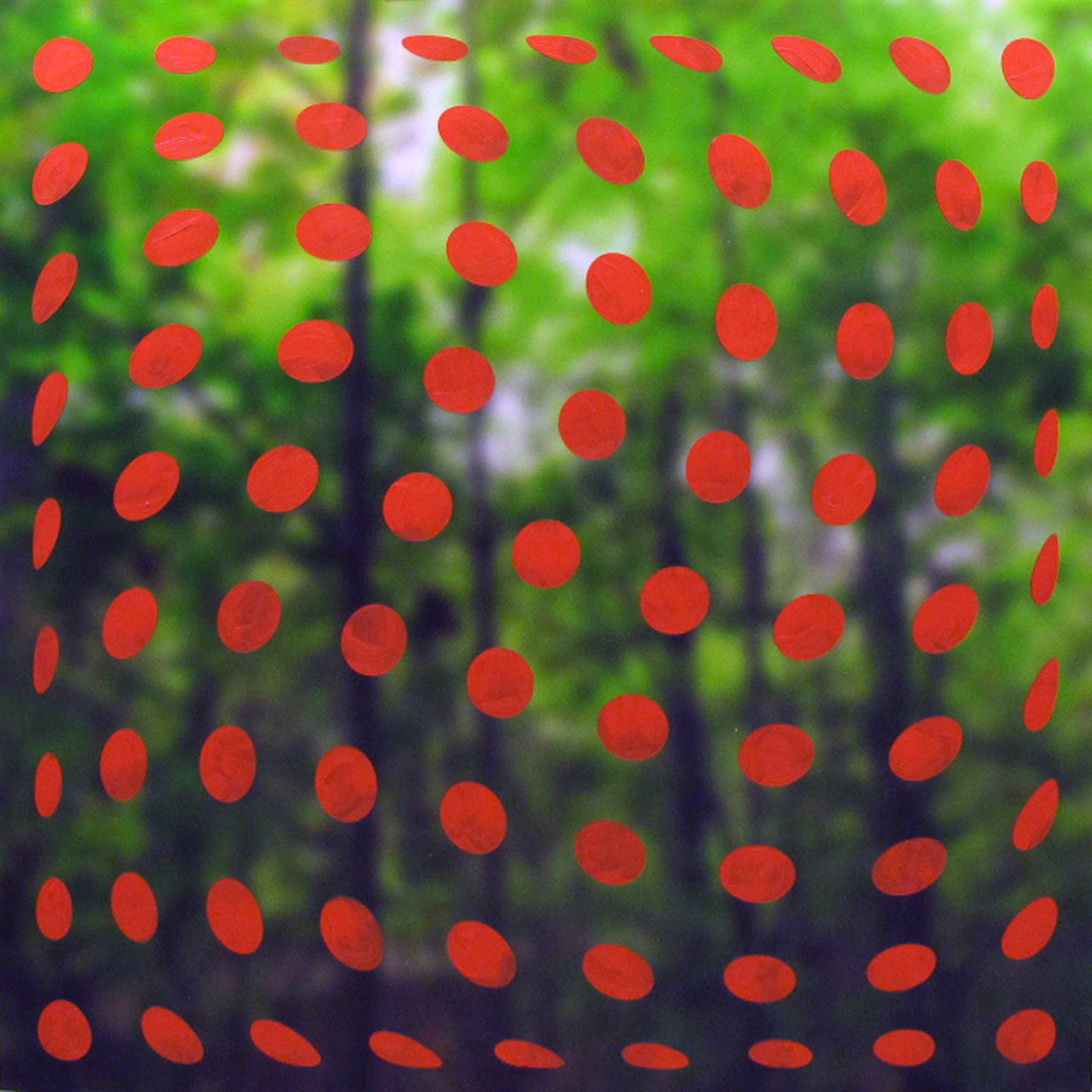 forest_dots_twist.jpg