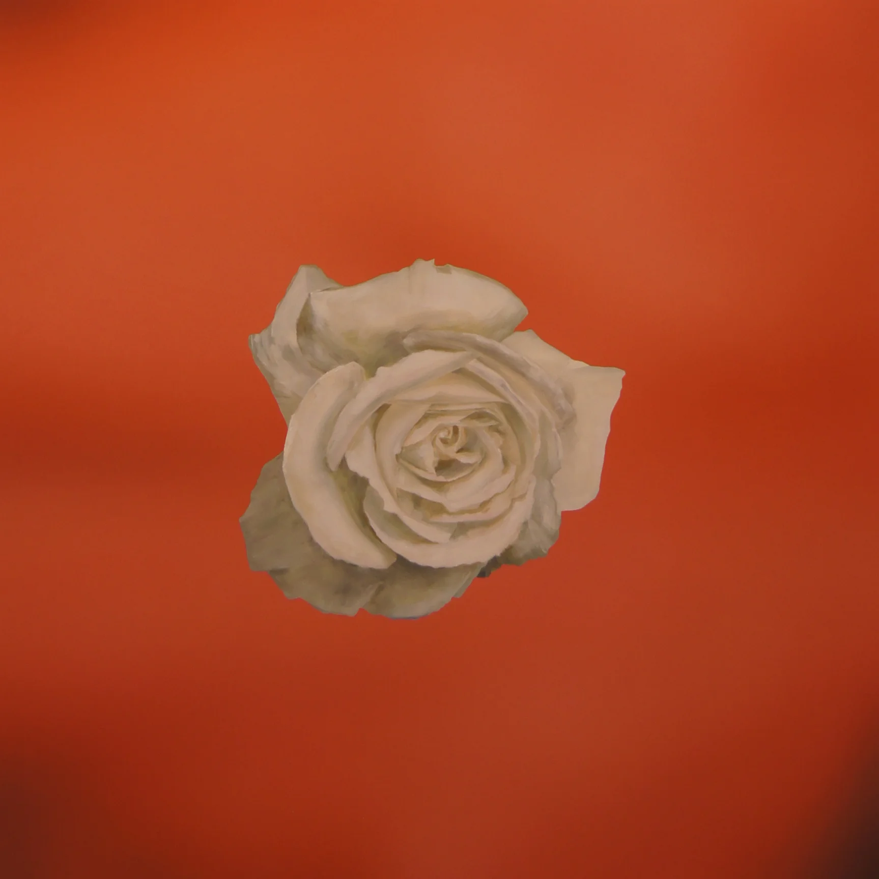 skin_flower.jpg