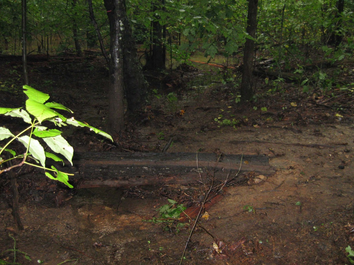 concave log crossing vmt1.jpg