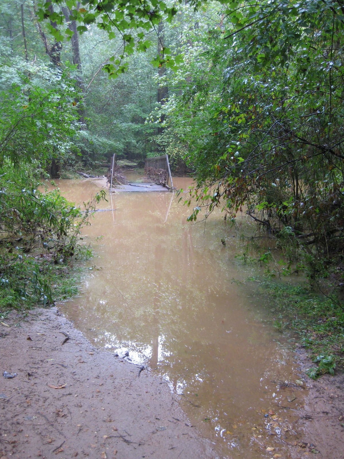 bridge.jpg
