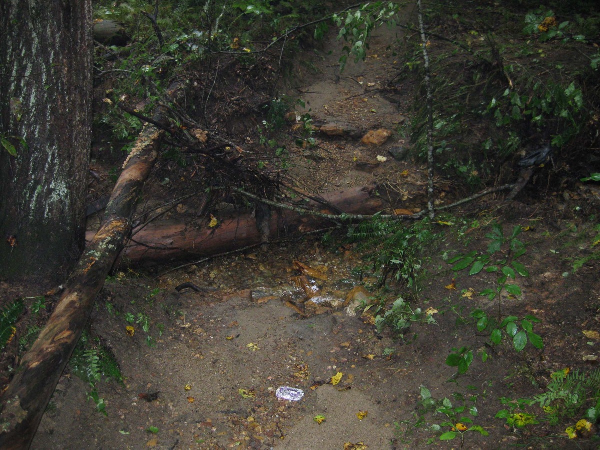 mos. bite bridge1.jpg