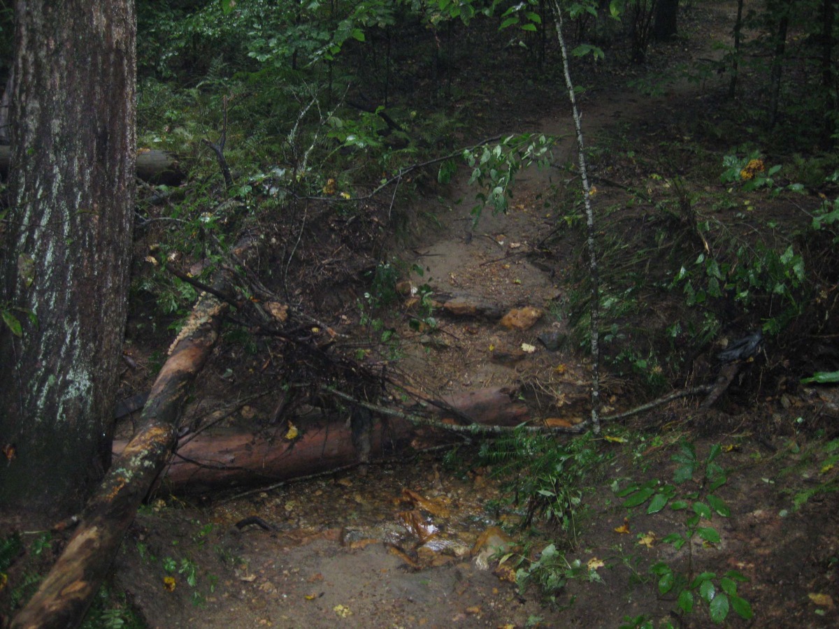 mos. bite bridge.jpg