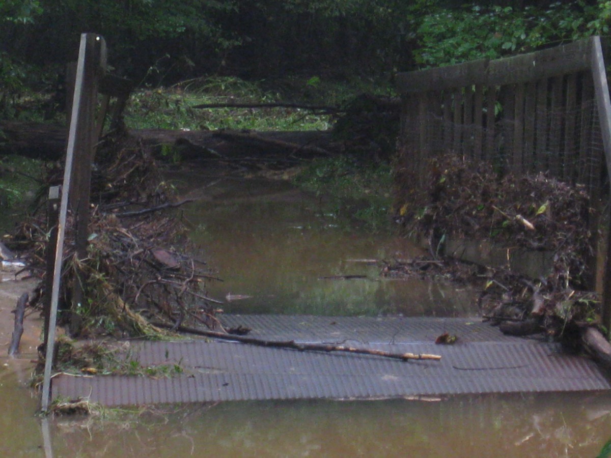 bridge2.jpg
