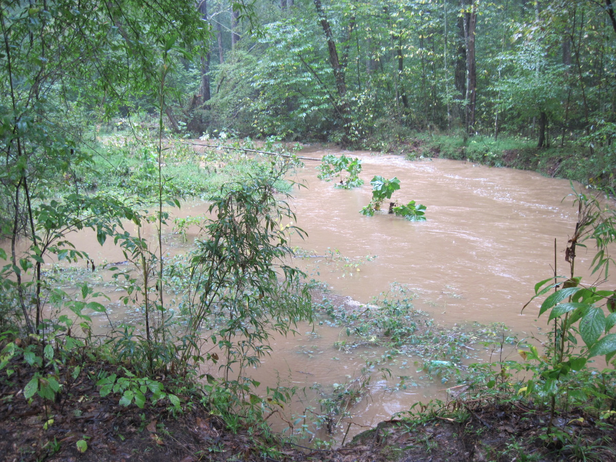 View from Mos Flats- Creekside