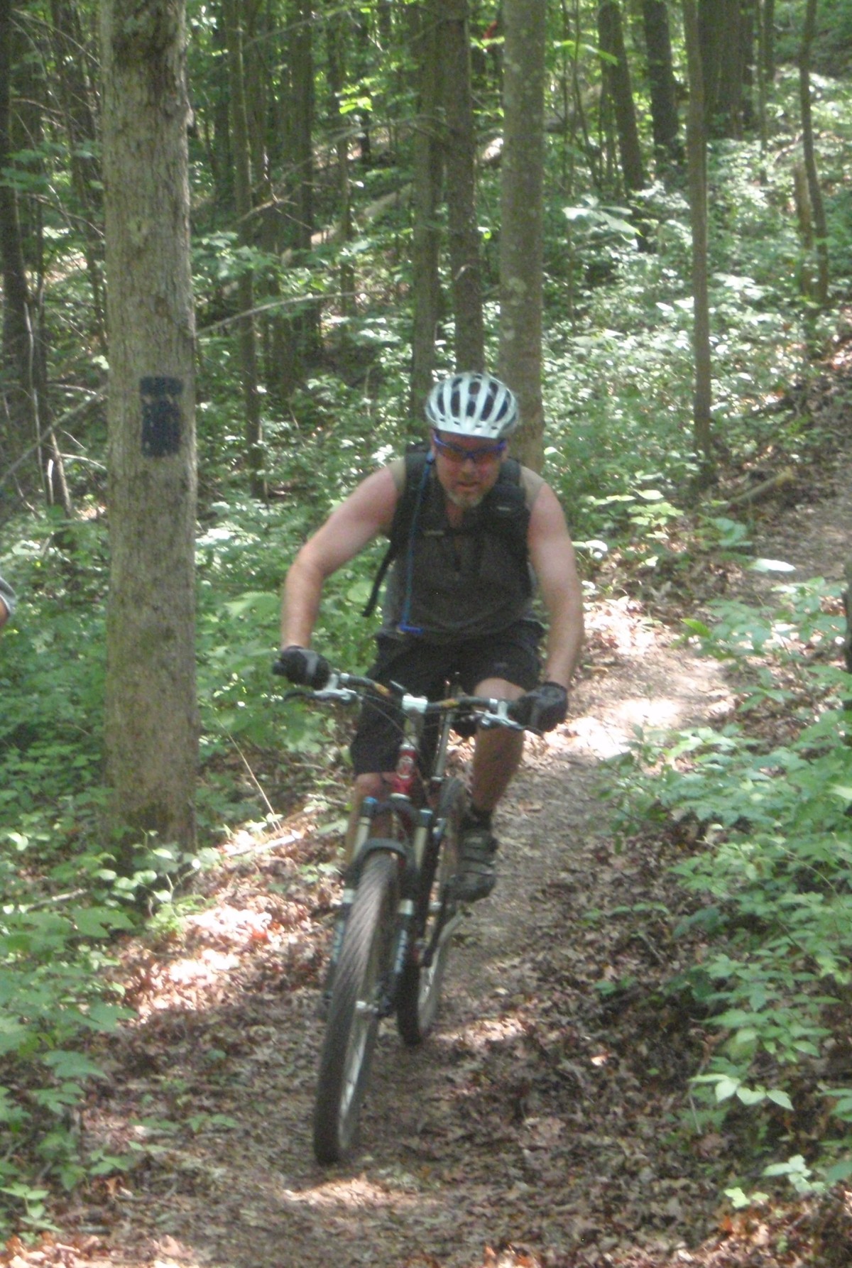 tanasi 0029.jpg