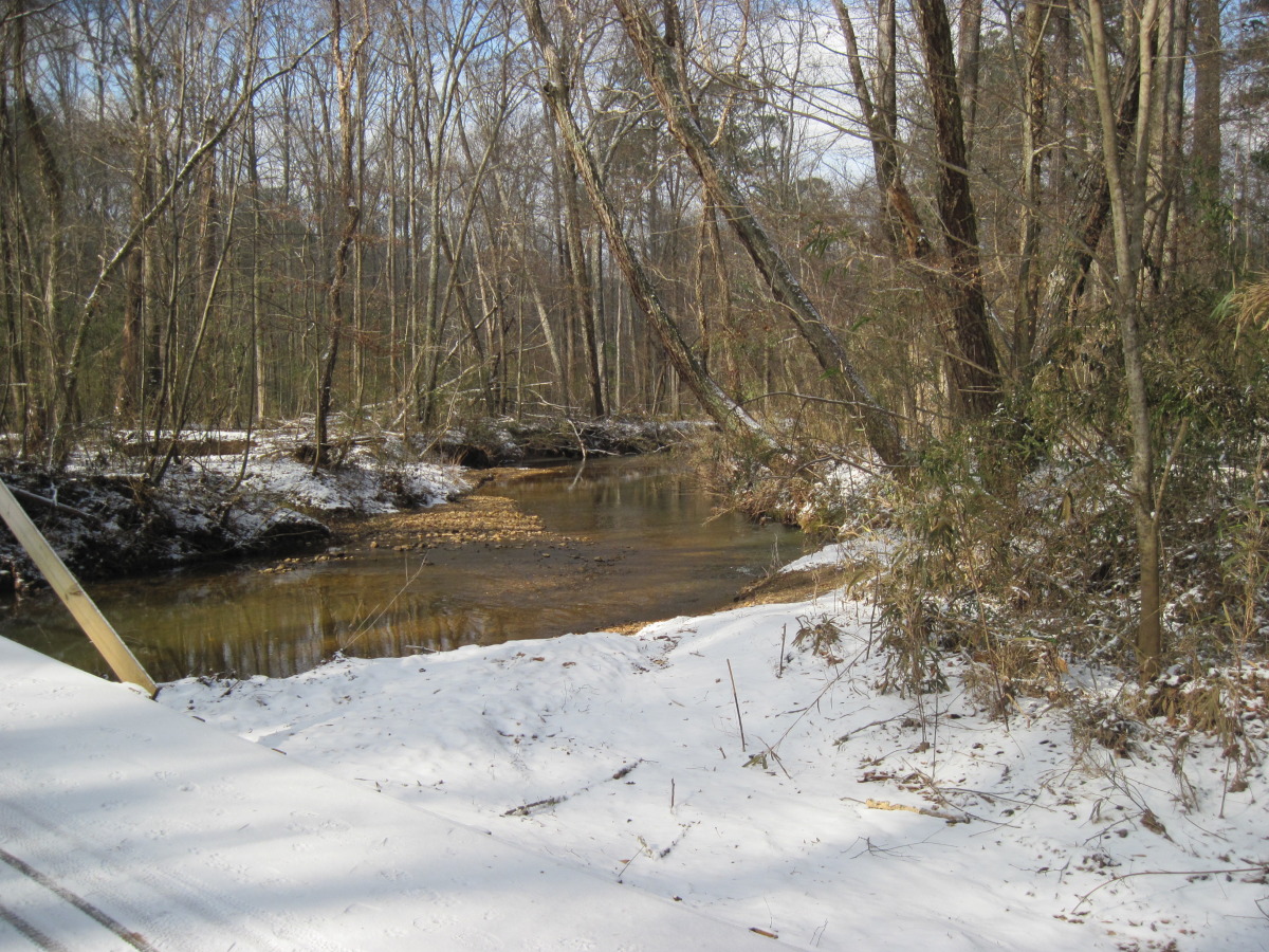 snow day 2010 088.jpg