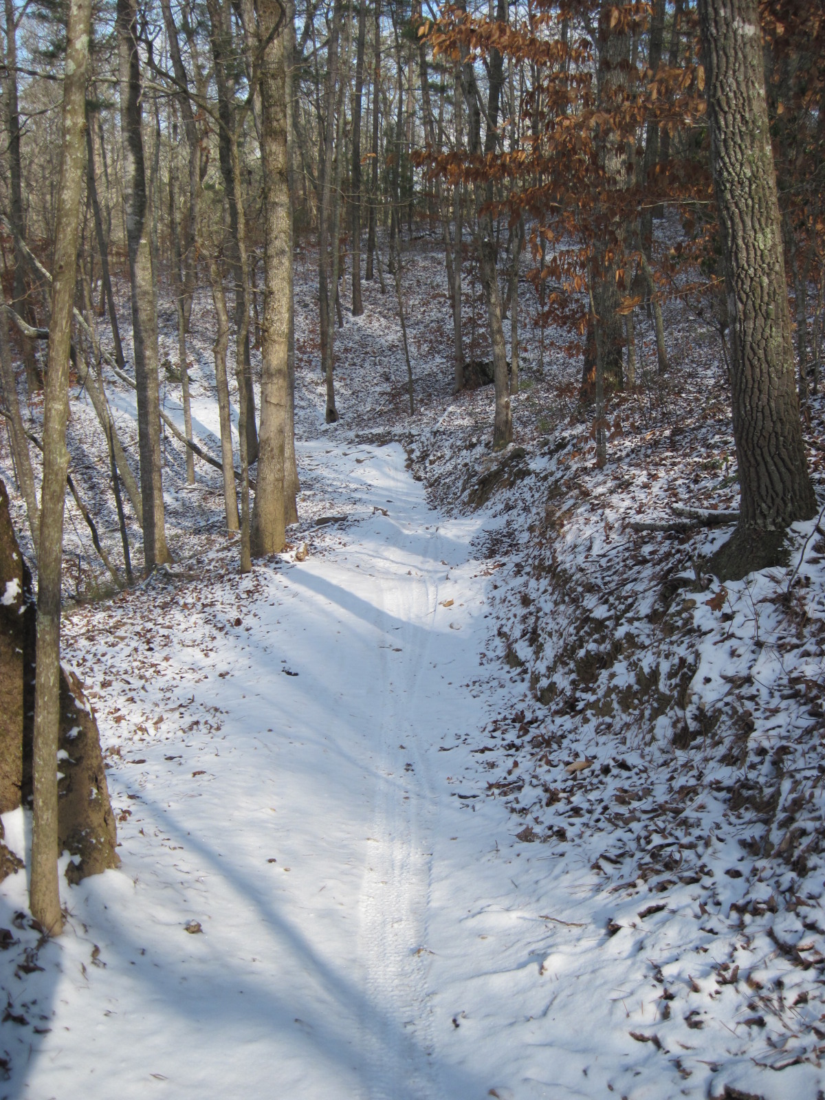 snow day 2010 102.jpg