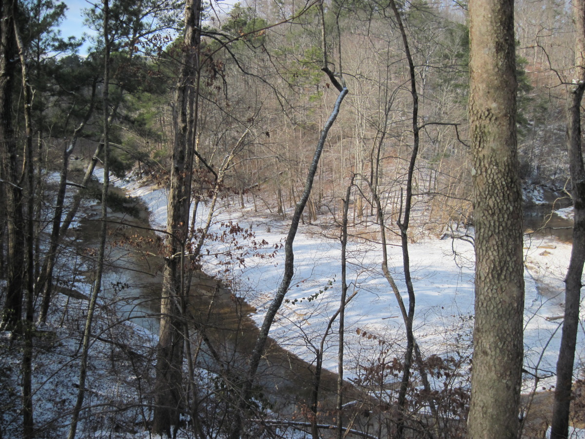 snow day 2010 100.jpg