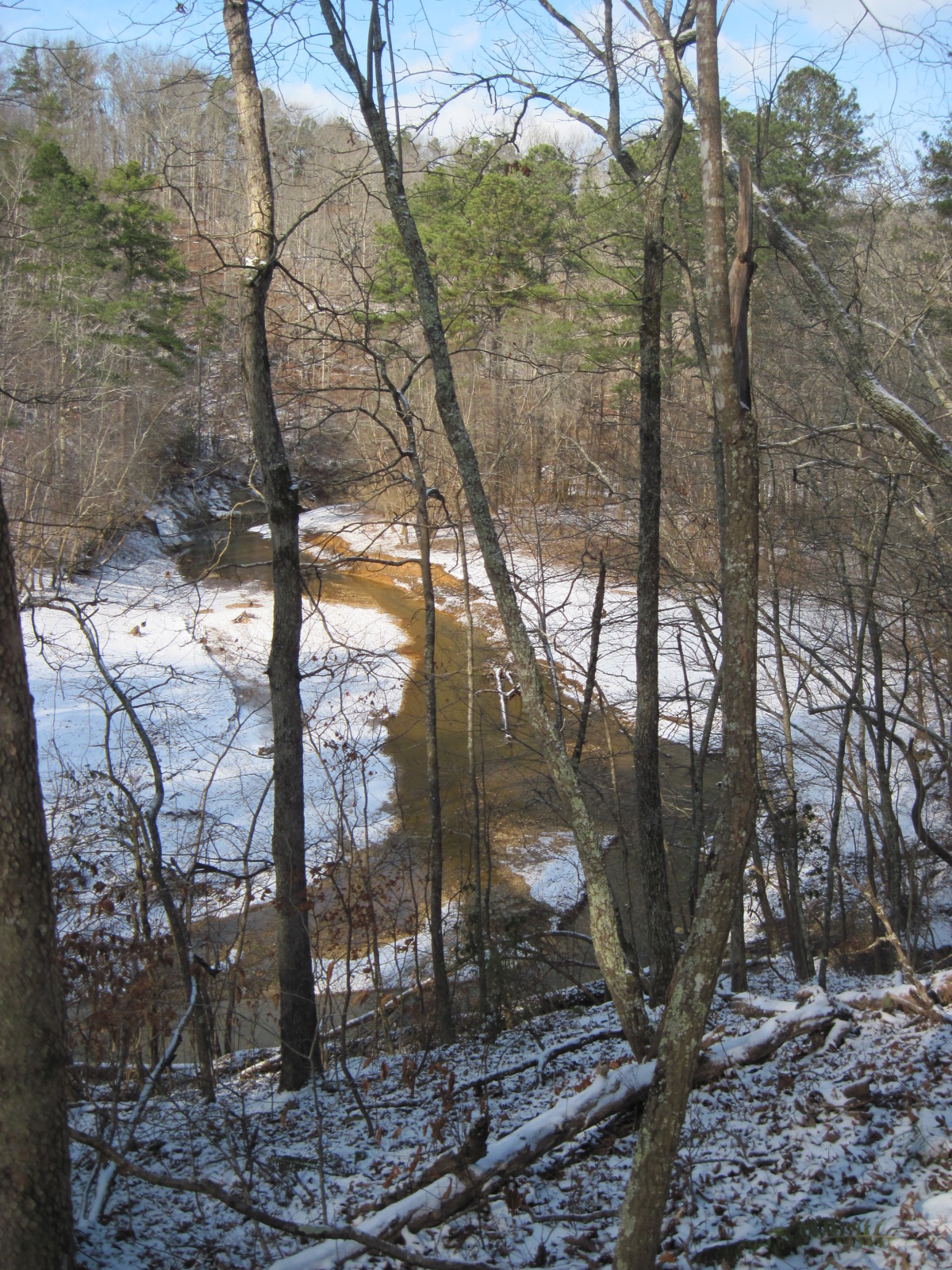snow day 2010 101.jpg