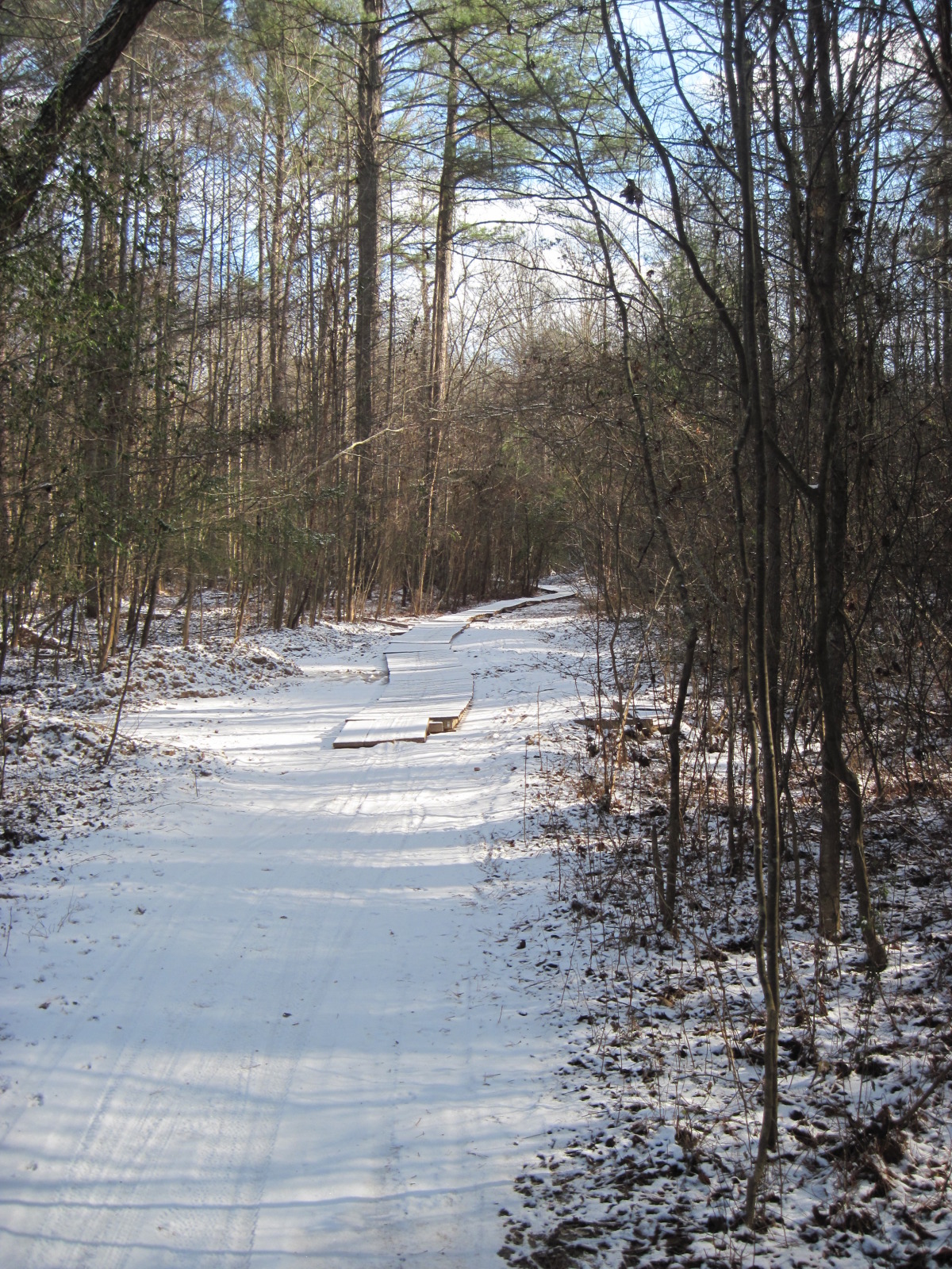 snow day 2010 103.jpg