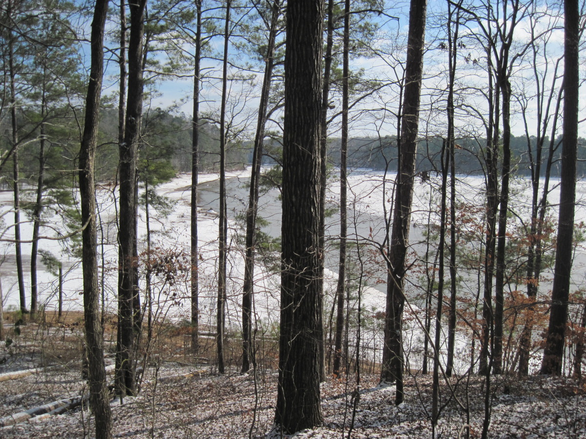 snow day 2010 094.jpg
