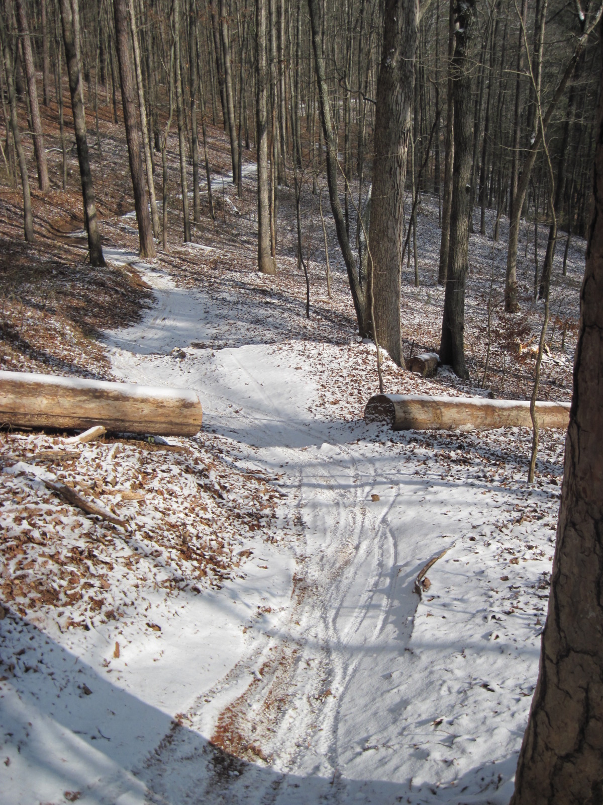 snow day 2010 096.jpg