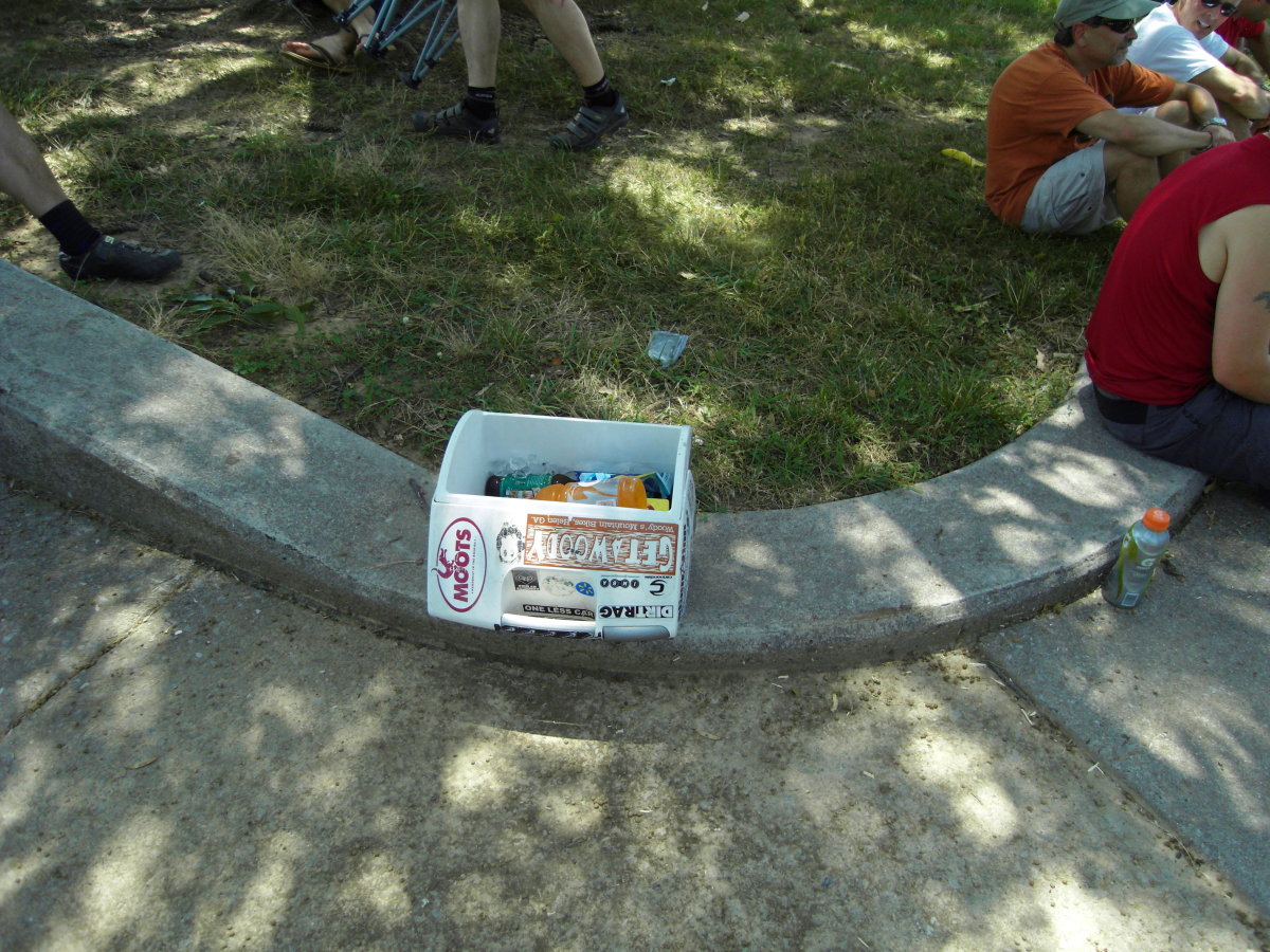 2010-07-24 raccoon 2010 021.jpg